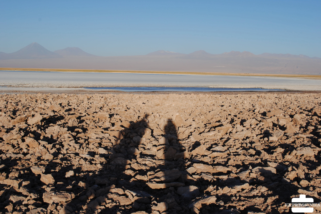 Chile Atacama Laguna Cejar