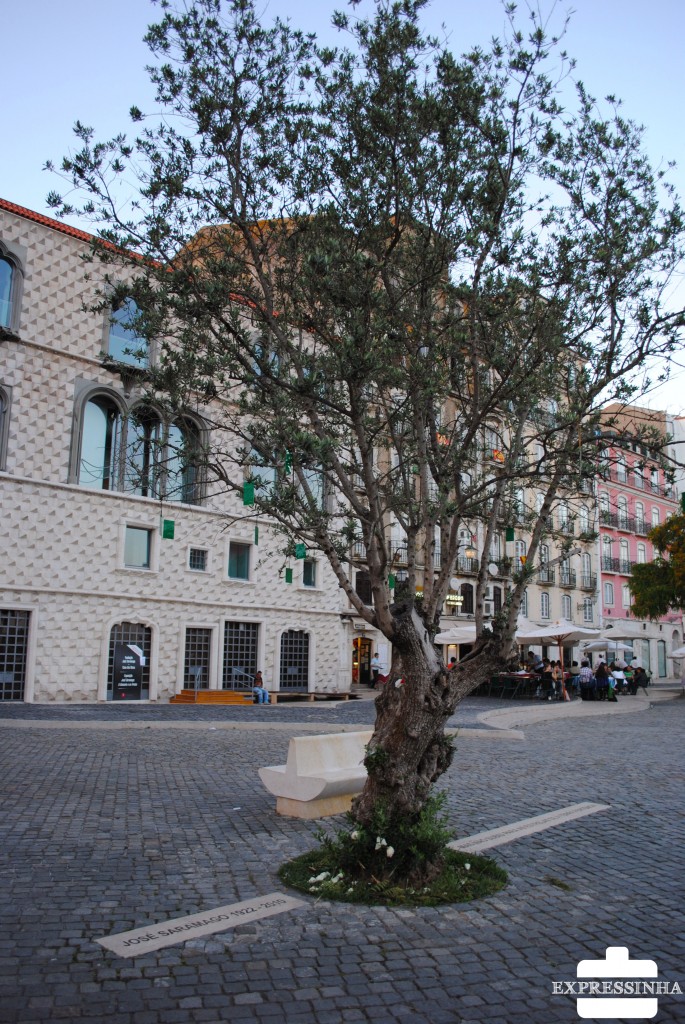 Lisboa, Casa dos Bicos, Oliveira com cinzas de José Saramago, Fundação Saramago