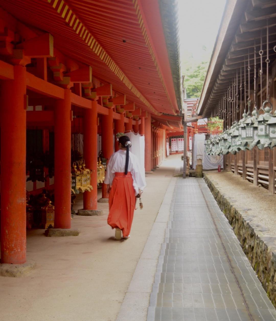 Assistente xintoísta checando as lanternas do santuário.