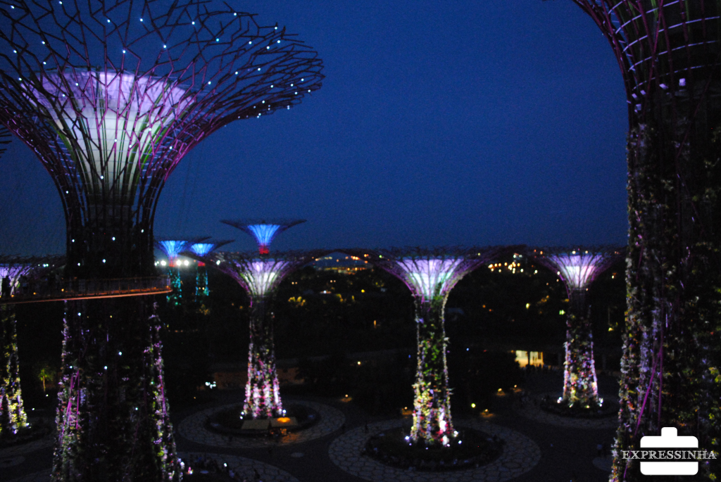 Expressinha Singapura Supertrees Groove