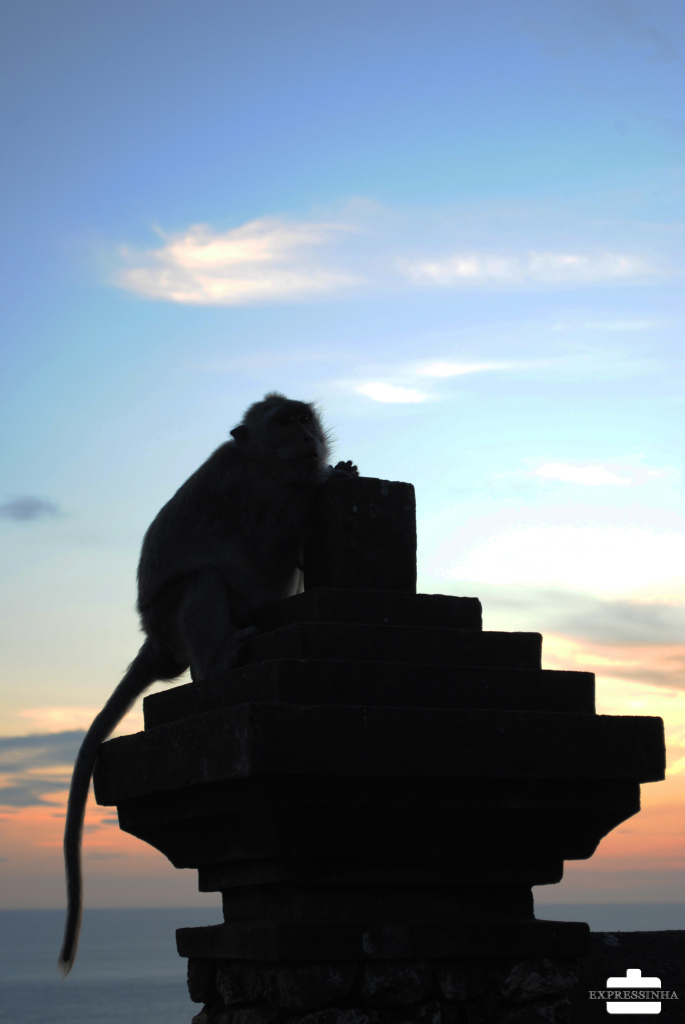 Indonesia Bali Uluwatu Temple Monkeys
