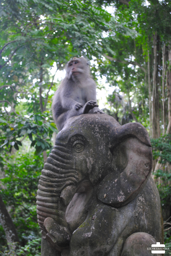 Indonesia Bali Ubud Monkey Forest