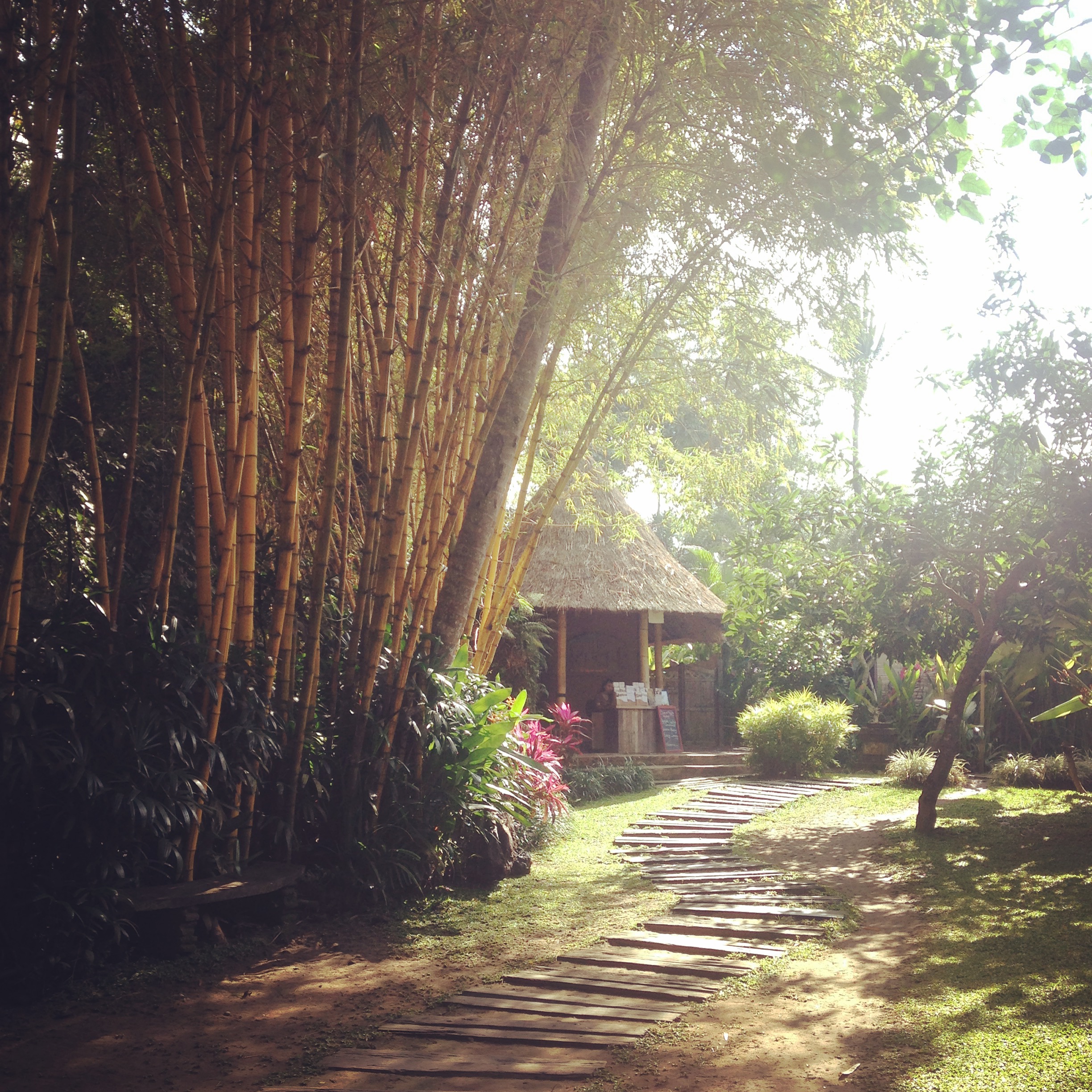 Entrada do Spa do Yoga Barn. Massagem ayurvédica é obrigatória em Bali!
