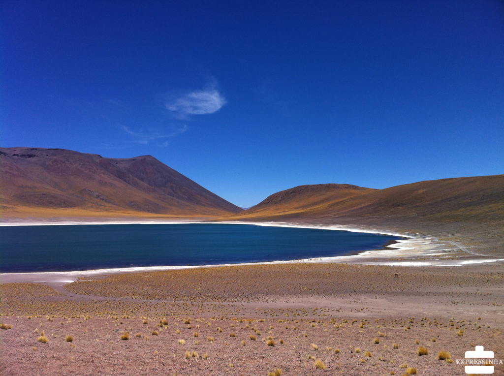 Chile Atacama Lagunas Altiplanicas