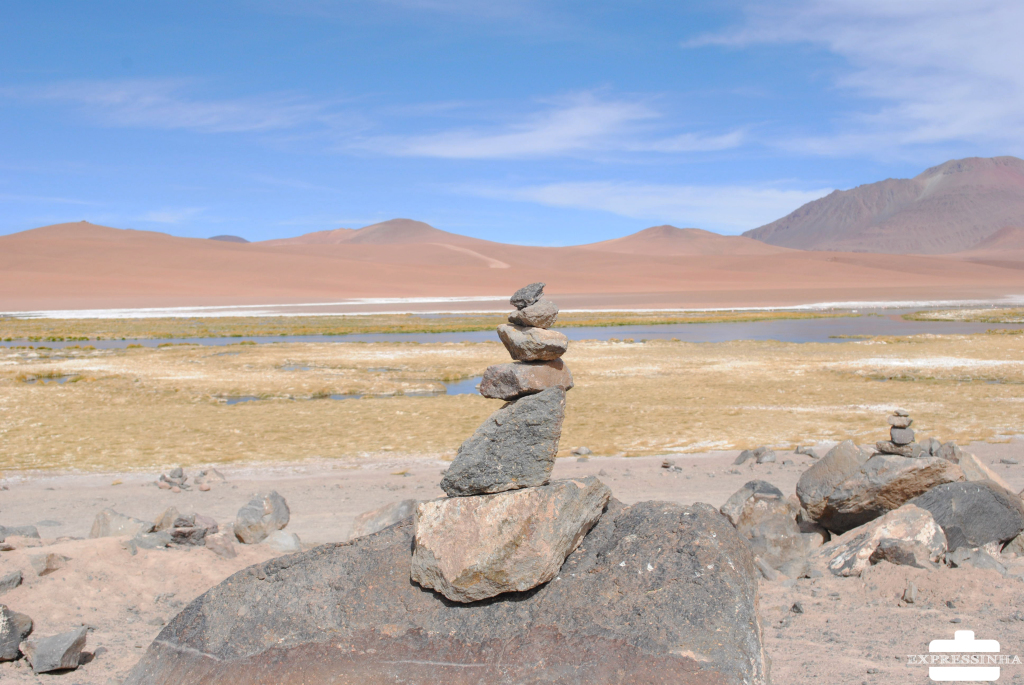 Chile Atacama Salar de Tara