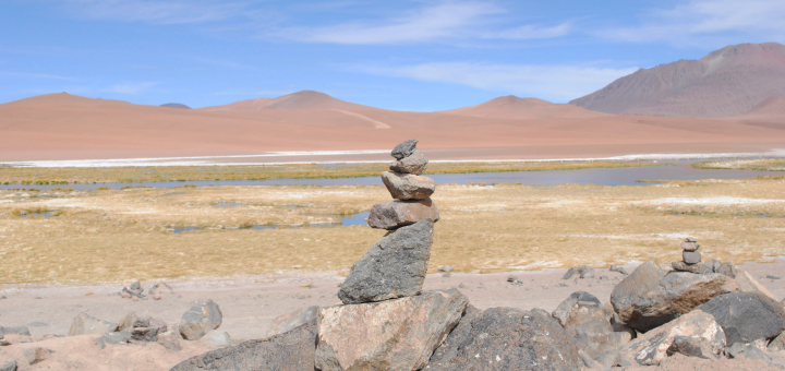 Chile Atacama Salar de Tara