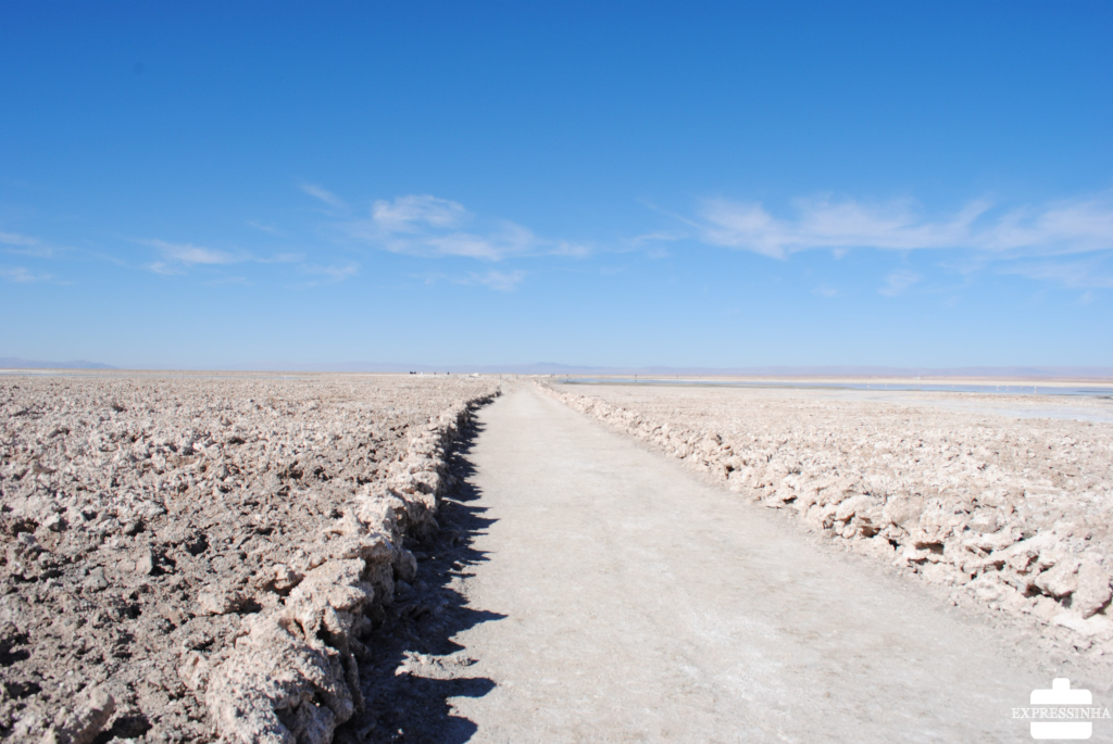 Chile Atacama