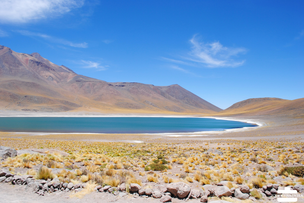 Chile Atacama Lagunas Altiplânicas