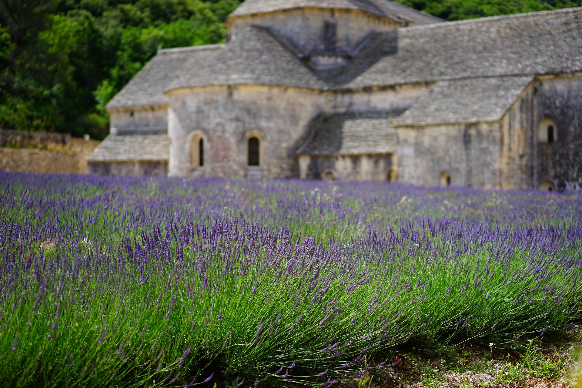 Provence: um destino perfeito para uma viagem mãe e filha.