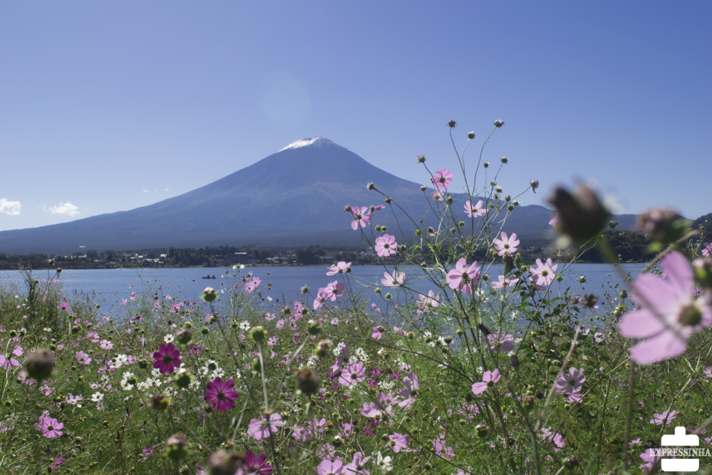 Como visitar o Monte Fuji: as vistas do Fuji da orla do lago Kawaguchiko são incríveis! Esse é, sem dúvida, o mais legal dos cinco lagos do Monte Fuji.