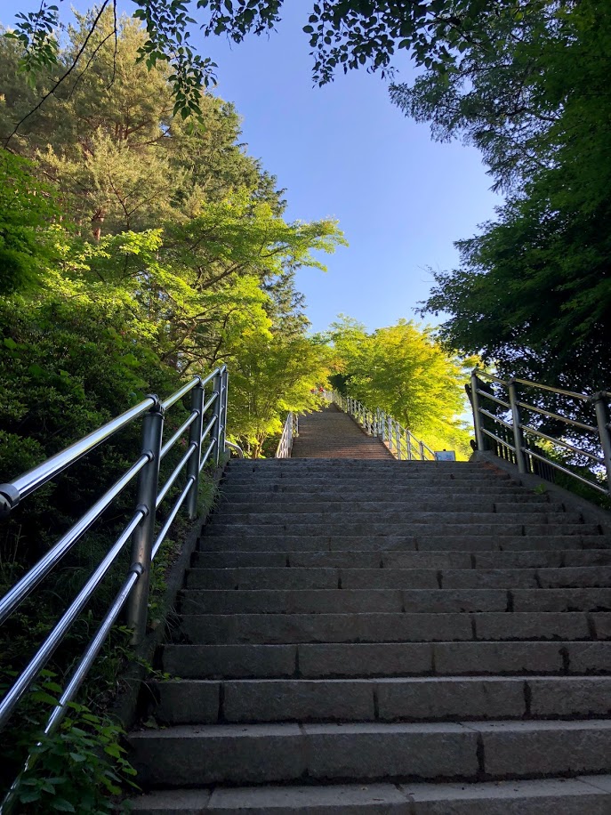 Subida para a Chirota Pagoda, nos arredores do Monte Fuji. Foto: Guilherme Matos.