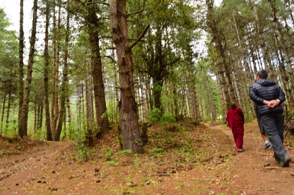 Caminhando com o monge pelos bosques preservados do Butão, o país da felicidade.