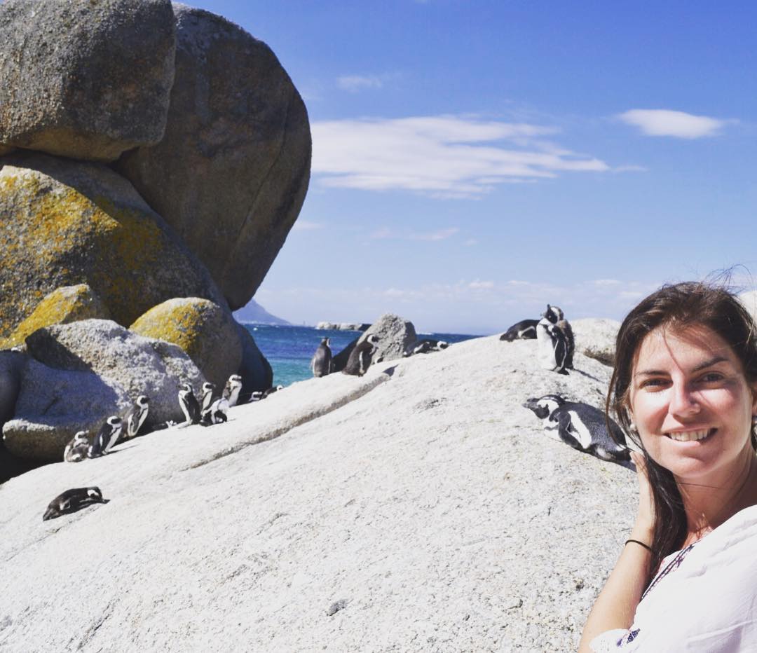 Eu tentando fazer amizade com uns pinguins africanos em Boulders Beach Cape Town.