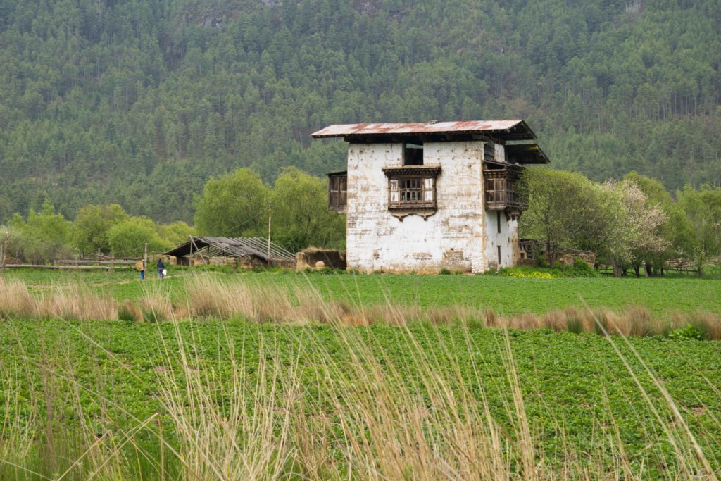 Casinha no Khotokha Village, ao redor do Rincheling Monastery no Butão, o país da felicidade. Parece ou não parece a casa da família Weasley? 