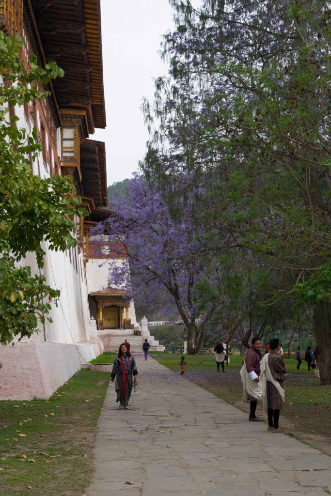 Atrações Imperdíveis no Butão. Phunakha Dzong, uma das visitas obrigatórias em uma viagem para o Butão.