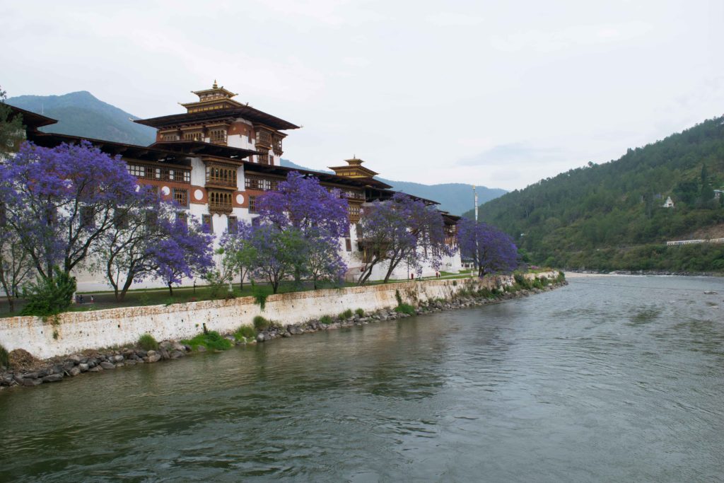 Punakha Dzong, um prédio ainda mais lindo na primavera do Butão. Viagem para o Butão.