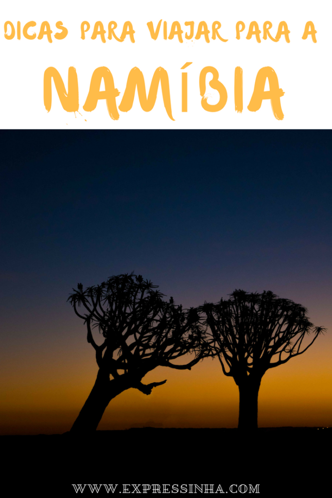 Você já pensou em viajar para a Namíbia? Aproveite essas dicas e descubra um pouco das curiosidades antes de programar sua viagem! Você vai saber sobre visto para a Namíbia, tomadas, moeda e as línguas do país!