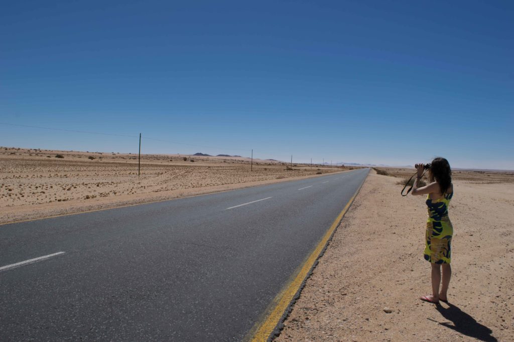Viagem para a Namíbia. O bom de viajar para a Namíbia de carro é poder parar a qualquer hora, até quando sua amiga acha que viu um elefante no deserto e quer sair do carro com um binóculo para ver se encontra... vai vendo!