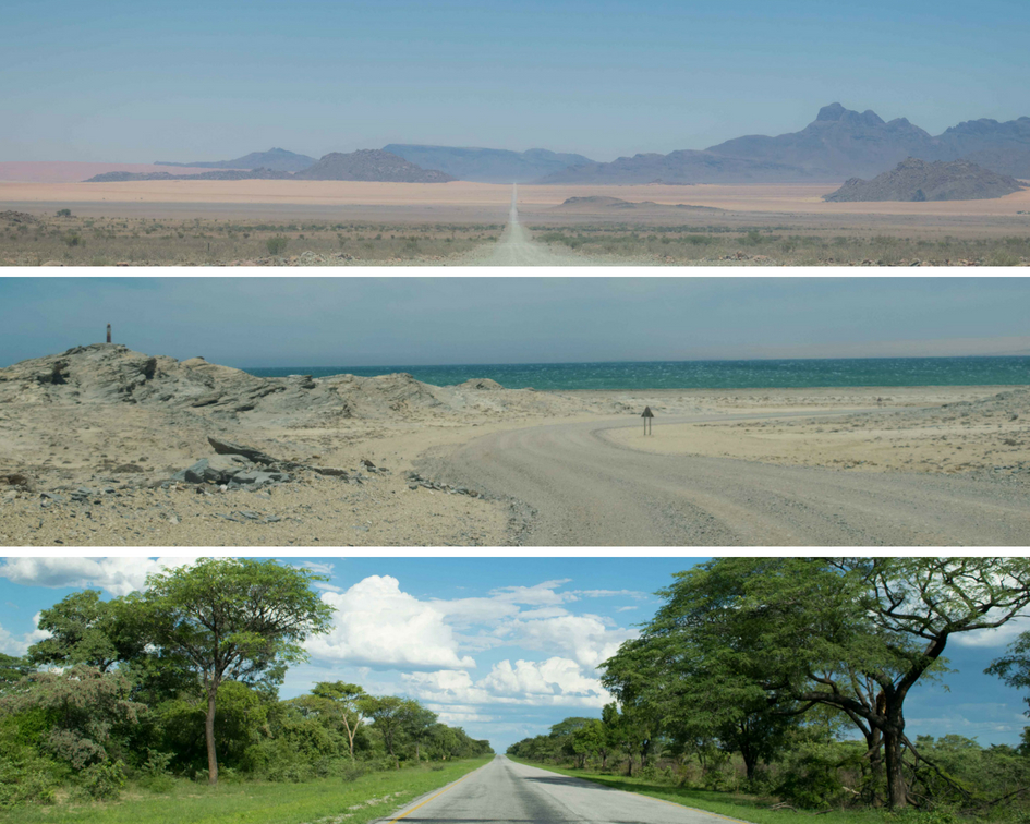 Viagem para a Namíbia. O mais legal da road trip pela Namíbia é acompanhar a mudança das paisagens, ver as plantas surgindo e sumindo, as montanhas aumento e diminuindo. Isso é só um pouquinho do que vimos por lá...