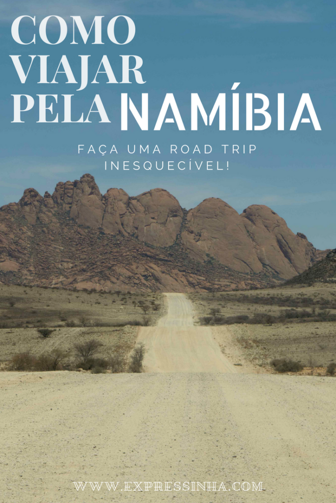 Viagem para a Namíbia. Se você está pensando em viajar pela Namíbia, veja aqui as melhores opções (e as econômicas também) para viajar de carro, overland tour, tour privado e avião!