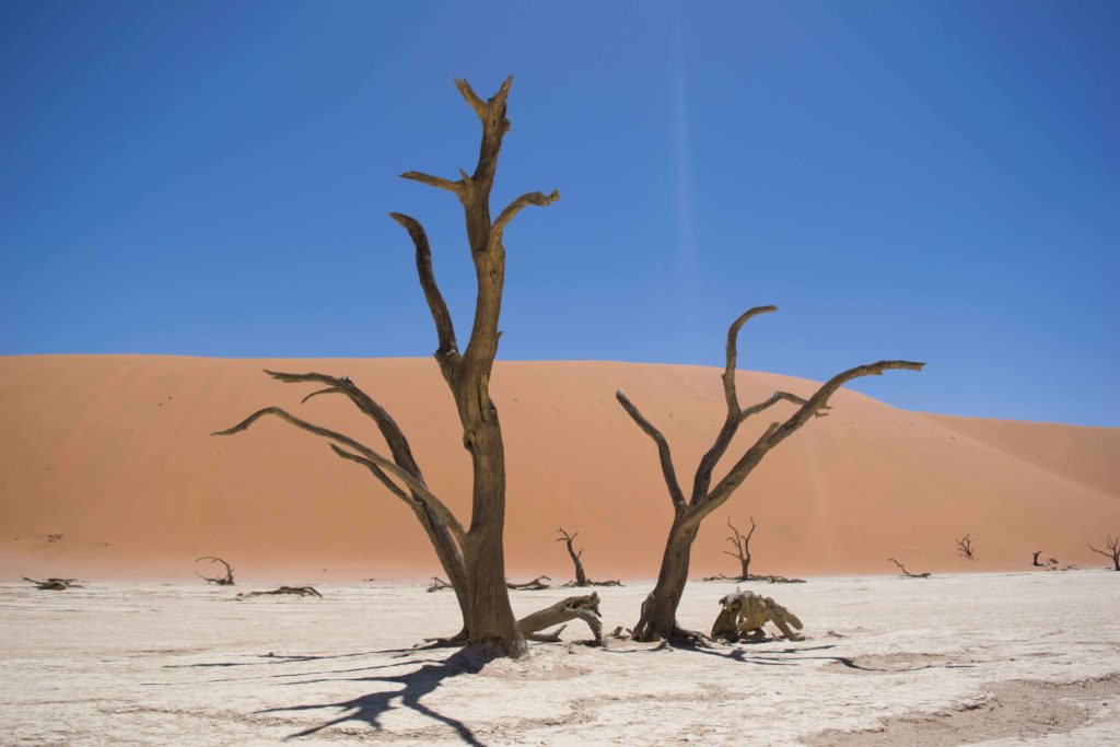 Dicas da Namíbia: O contraste maravilhoso de Deadvlei.