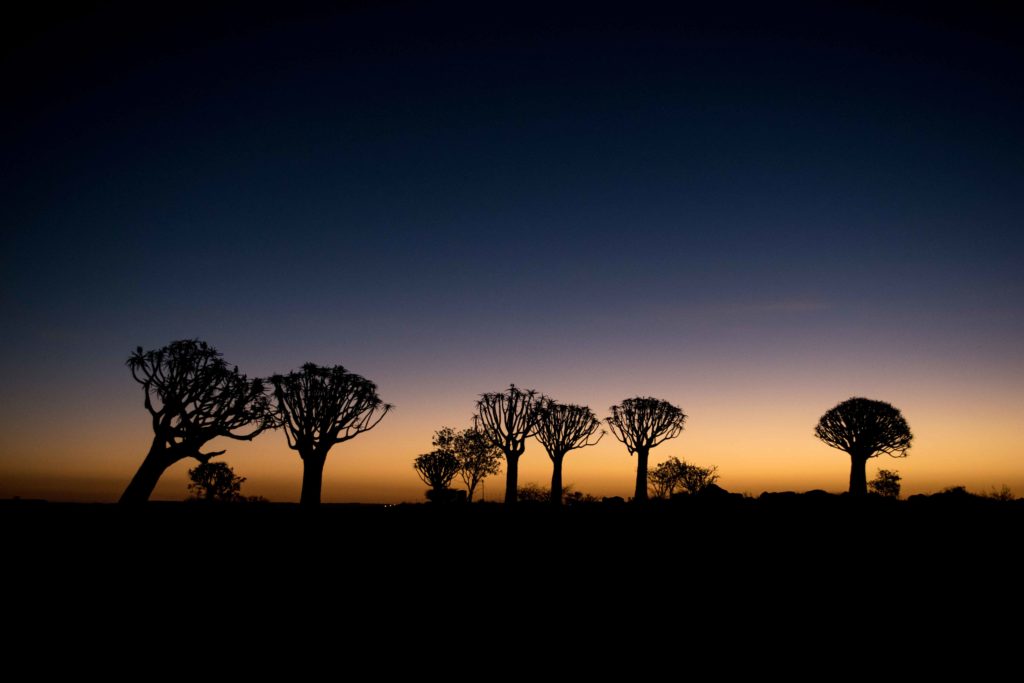 Dicas da Namíbia: Anoitecer na deslumbrante Quiver Tree Forest, em Ketsmanshoop.