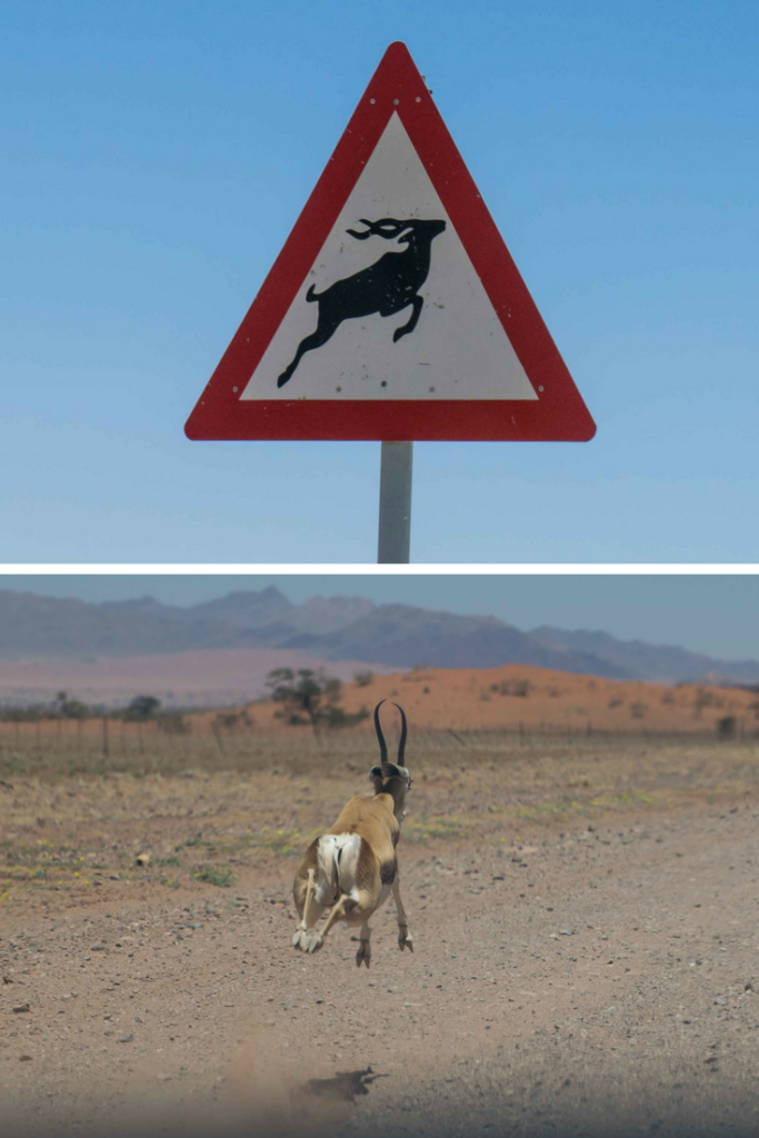 Atenção máxima nas estradas! As placas são verdadeiras. =D Viajar para Namibia!