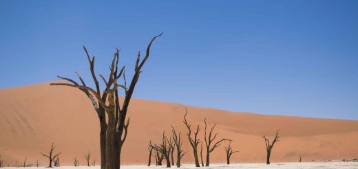 O que fazer na Namíbia: Deadvlei e Sossusvlei - cartões postais e paradas obrigatórias no deserto da Namíbia.