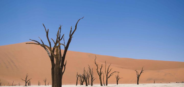 O que fazer na Namíbia: Deadvlei e Sossusvlei - cartões postais e paradas obrigatórias no deserto da Namíbia.