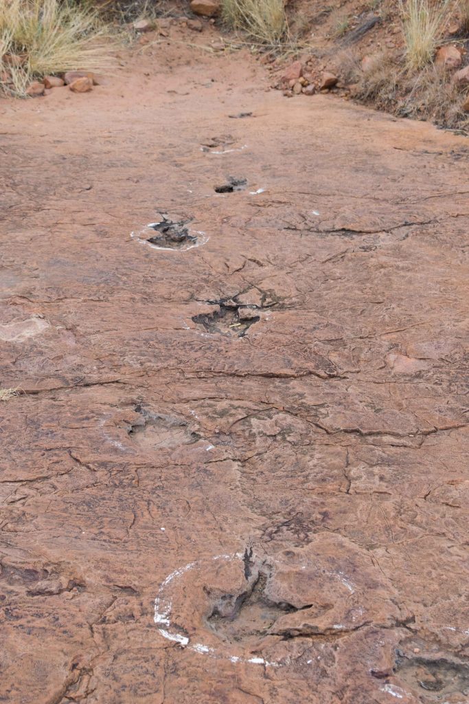 Pegadas de dinossauros na Namíbia!