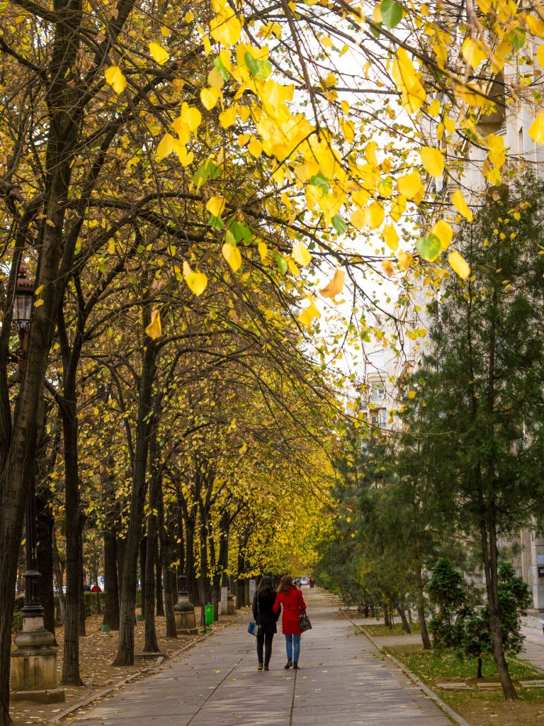 O lindo Boulevard Unirii com as cores do outono.