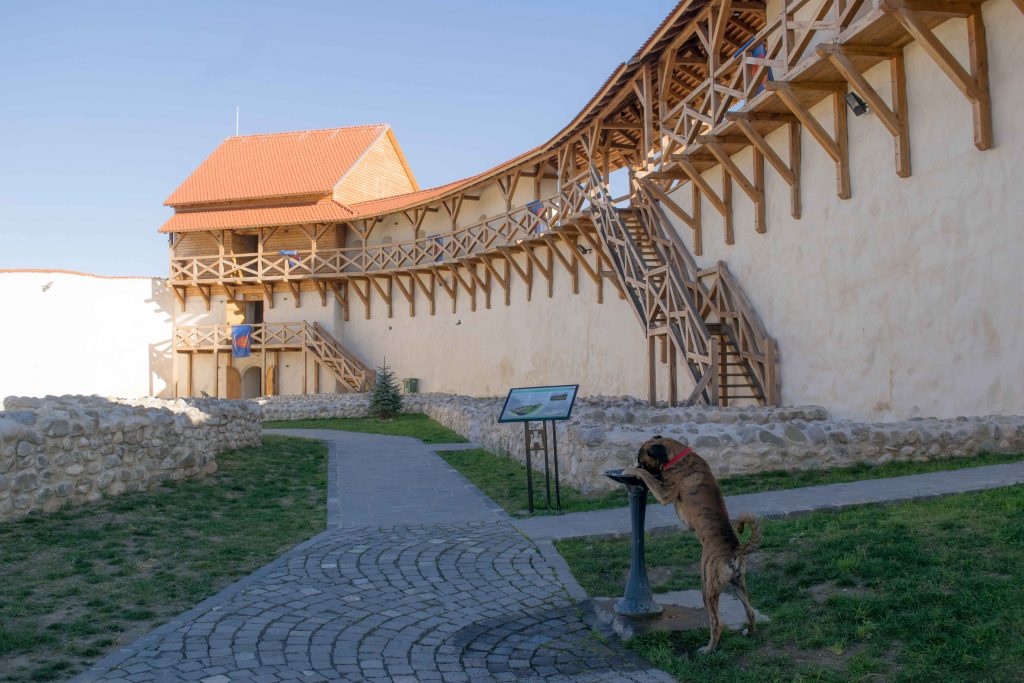 Forte de Feldioara na Transilvânia.