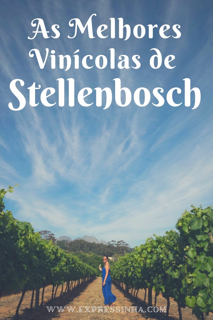 Confira as melhores vinícolas de Stellenbosch para degustar vinhos deliciosos em combinações mais que perfeitas! Sua viagem para a África do Sul será outra!