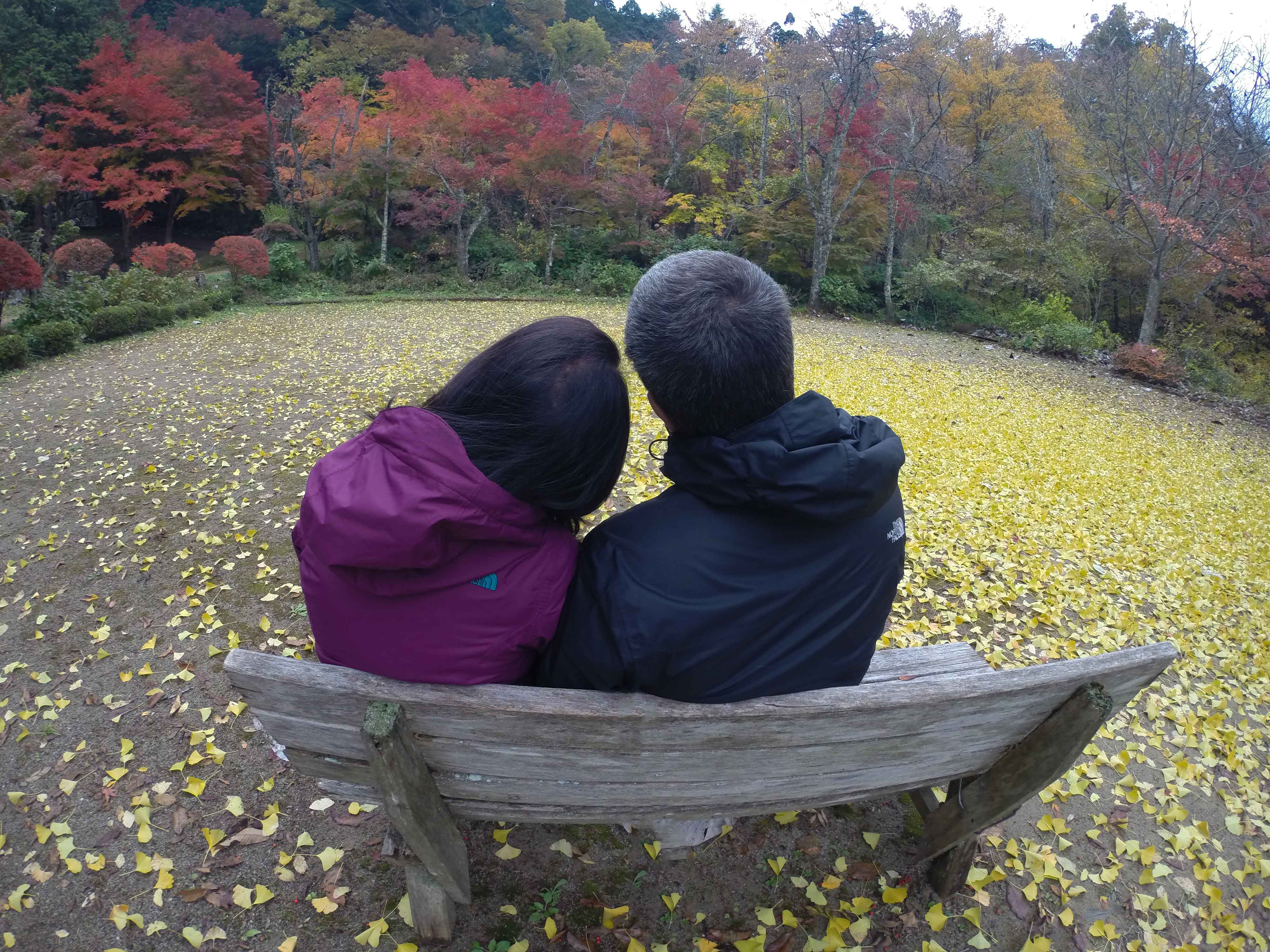 Clareira no Shiroyama Park em Takayama.