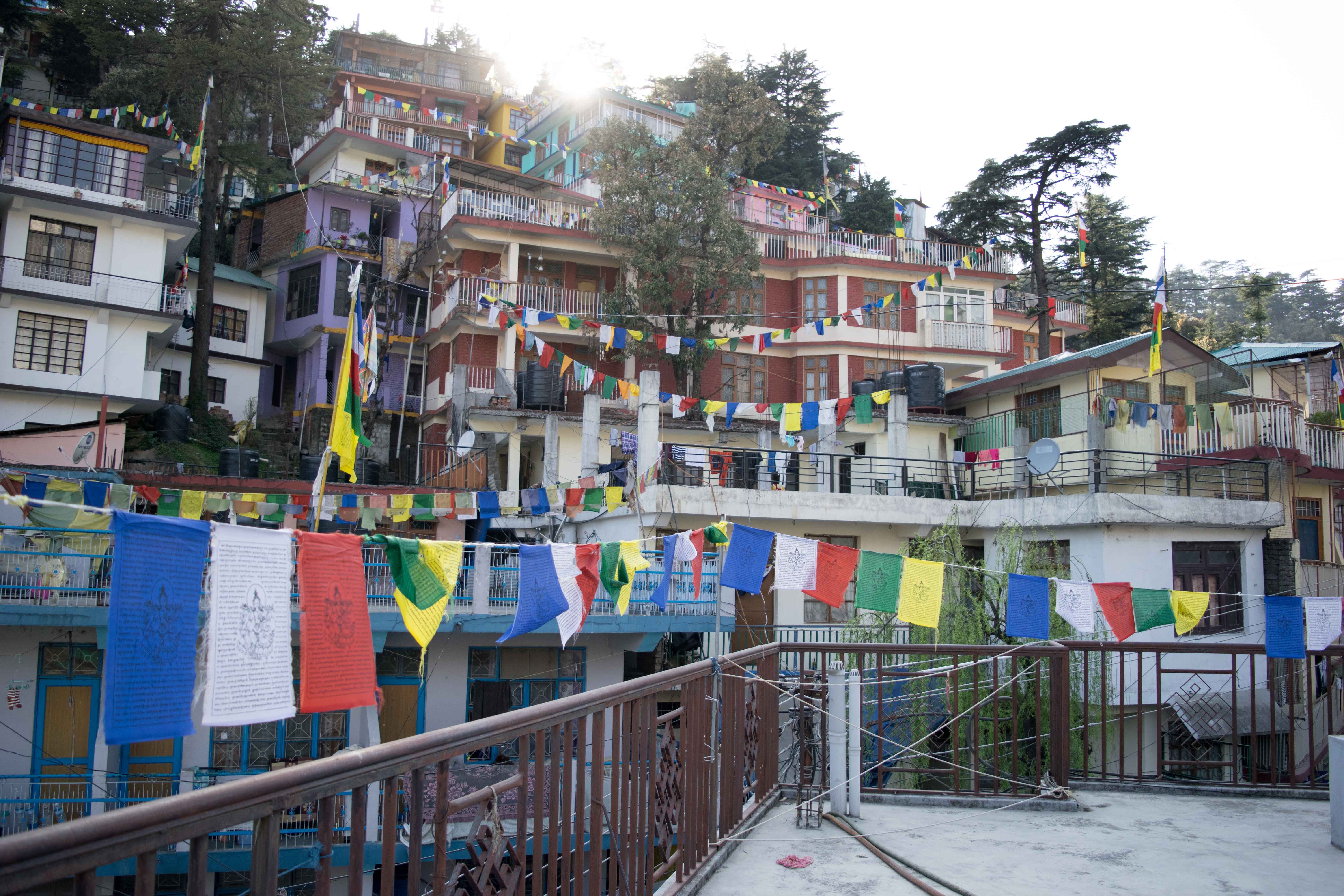 Mcleod Ganj inteiro exibe banderiolas de oração tibetana, afinal é onde vive o Dalai Lama!