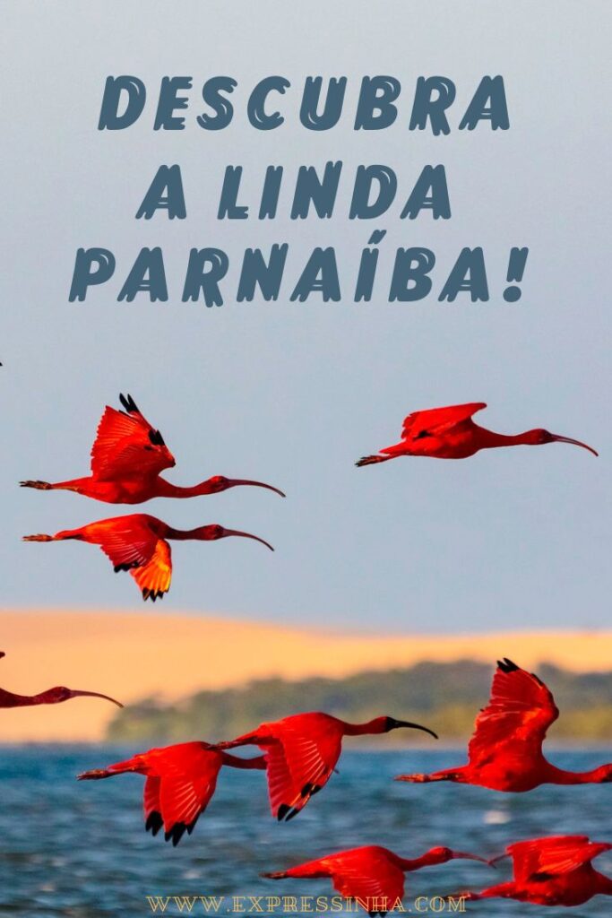 Descubra as belezas de Parnaíba, no Piuí além das rota das emoções. Veja o que fazer em Parnaíba, dicas de restaurantes e de passeios, incluindo alguns bate e volta pelas belas praias do Piauí.